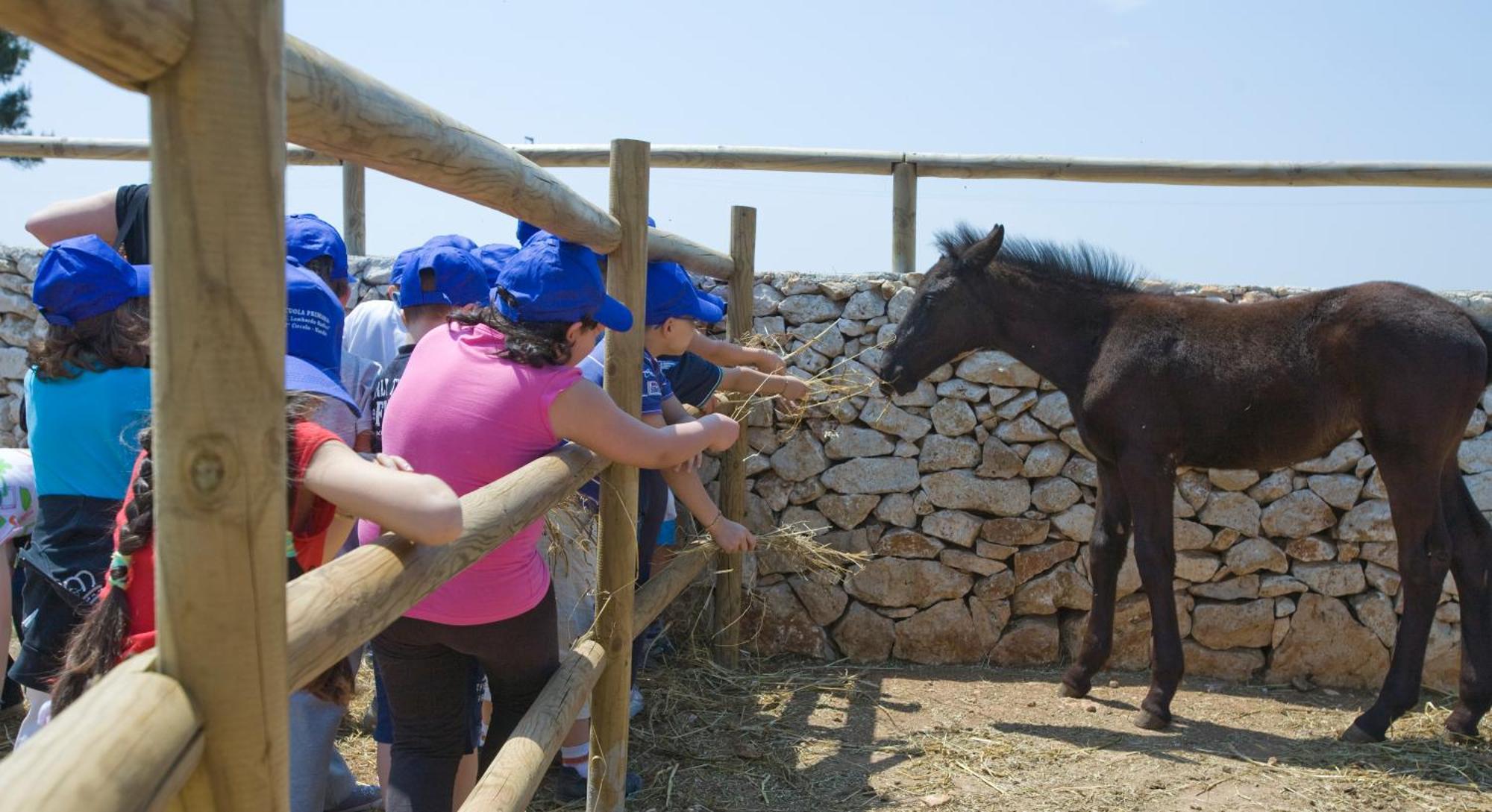 Agriturismo Scalelle Οτράντο Εξωτερικό φωτογραφία