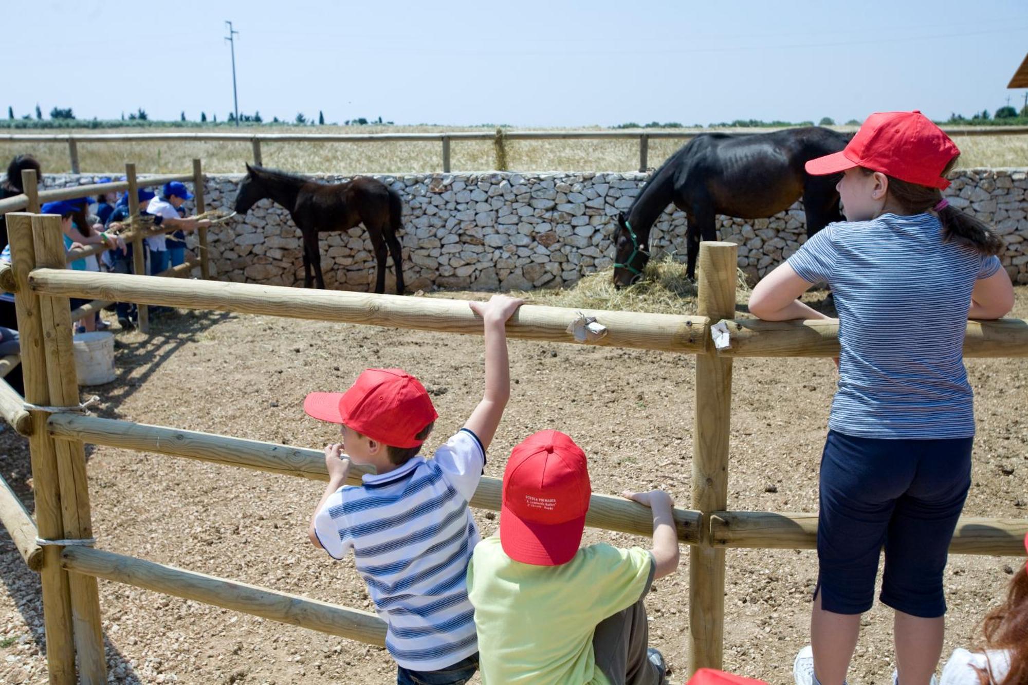 Agriturismo Scalelle Οτράντο Εξωτερικό φωτογραφία