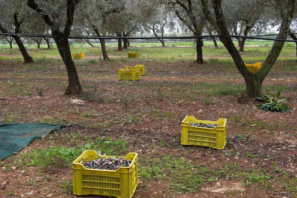 Agriturismo Scalelle Οτράντο Εξωτερικό φωτογραφία